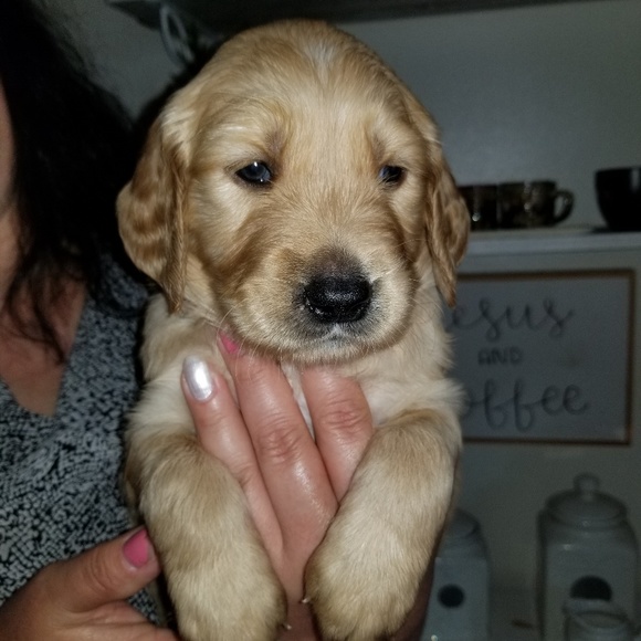 Meet your Posher, Yamila - Picture 1 of 1